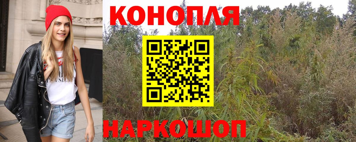 Бошки Шишки гибрид Шатура